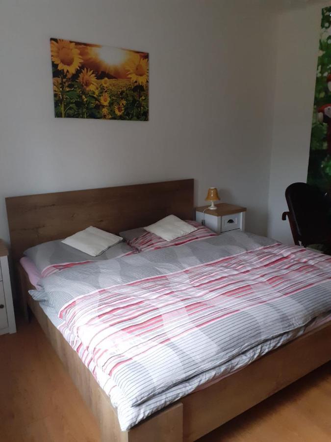 Apartman Ema Sloup  Extérieur photo